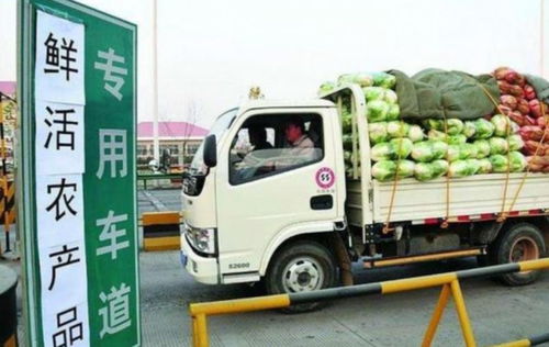 貨車(chē)司機(jī)夏天最不愿意拉的5種貨物，拉完一趟10天都緩不過(guò)來(lái)